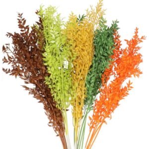Purchase Dried Ruscus Mix | Plantshop.me