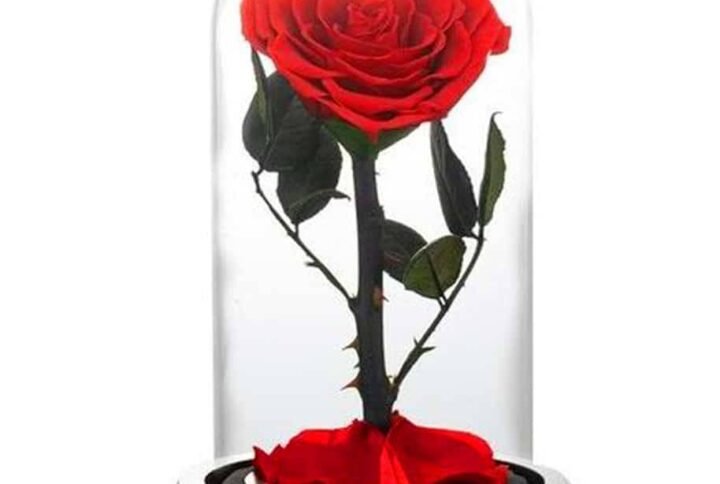 Purchase Heart Shape Forever Rose Preserved at Plantshop.me