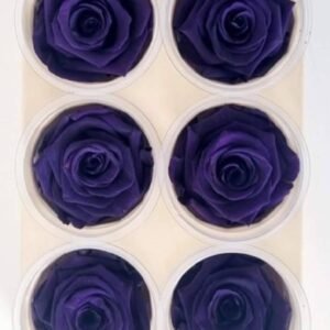 Purchase Preserved Purple Roses at Plantshop.me | UAE