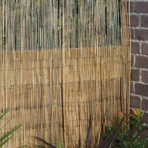 Thin Bamboo Fence Roll - Gardening Accessories | Plantshop.me