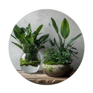 Air Purifying Indoor Pants