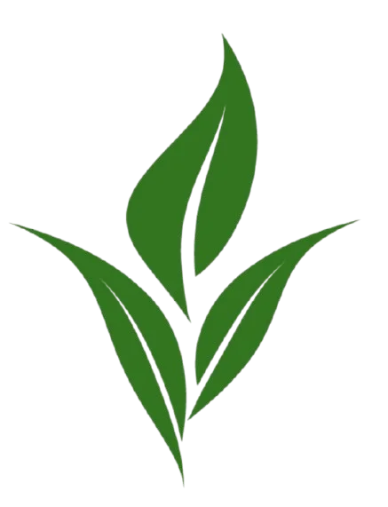 greenplantshop.ae