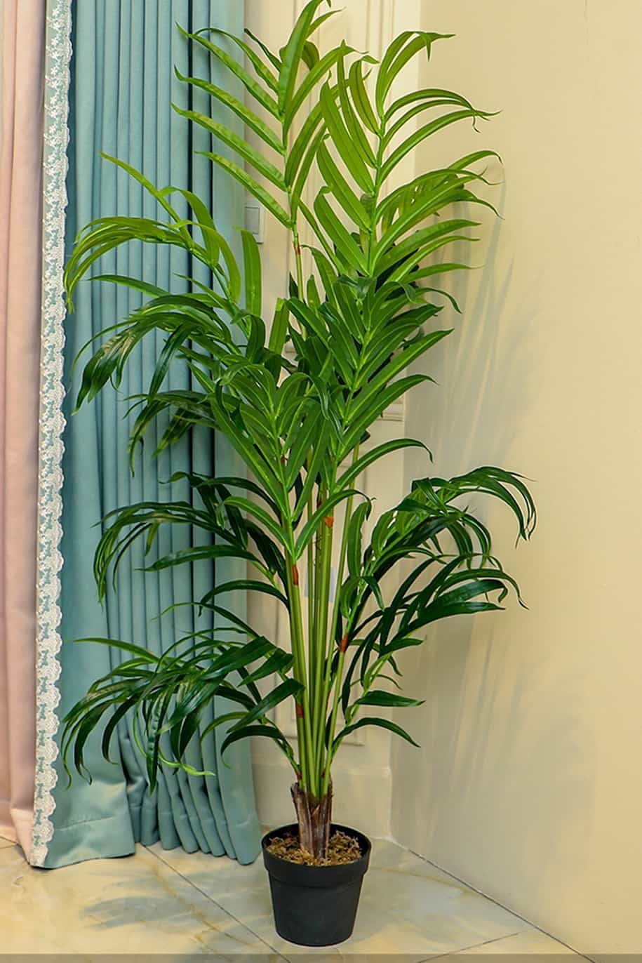 Areca_Palm_Artificial_-_greenplantshopae.jpg