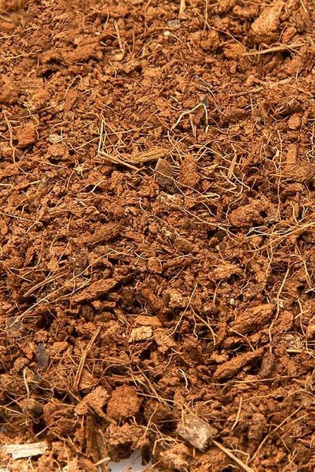 Bio-Coco-Peat-1.jpg