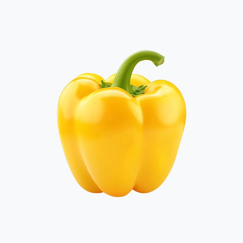 Capsicum-3.jpg
