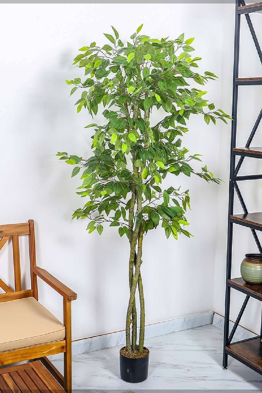 Ficus_Benjamina_Artificial-Plantshop_me.jpg