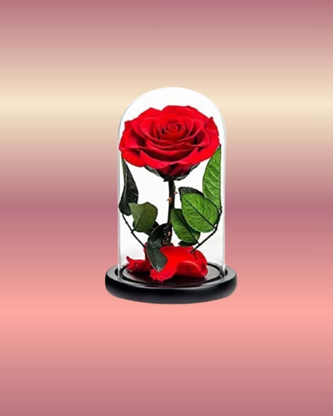Forever-Rose-Single-Red-1.jpg