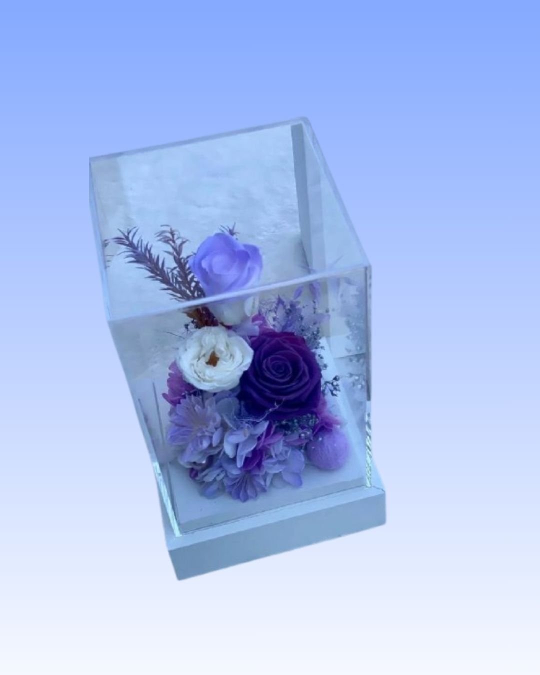 Forever-Rose-Square-Purple-White-Mix.jpg