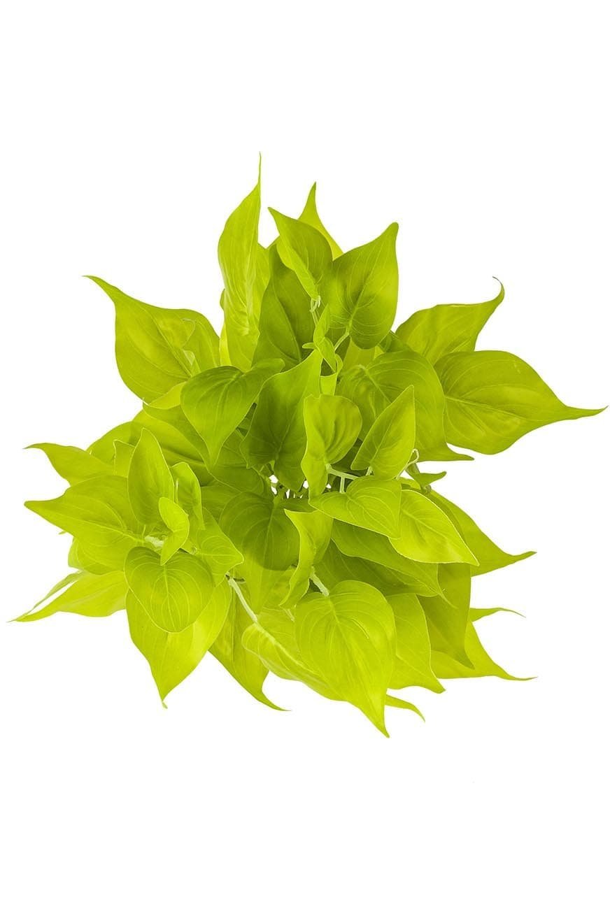 Golden-Pothos-Artificial.jpg
