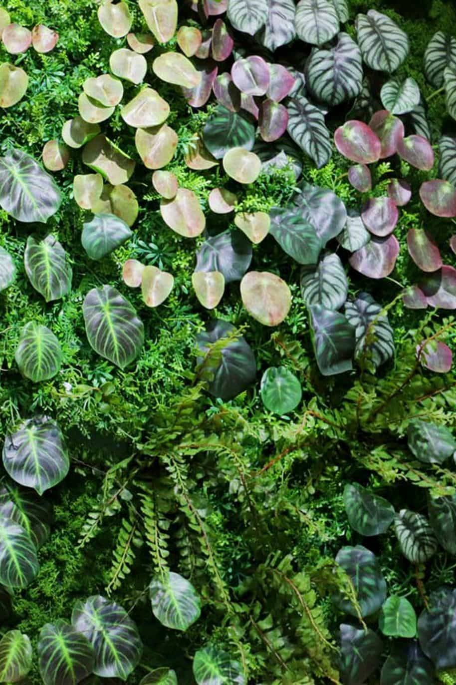 Green-Vertical-Garden-Wall-Foliage.jpg