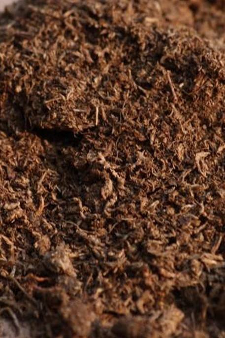 Peat-Moss-1-1.jpg
