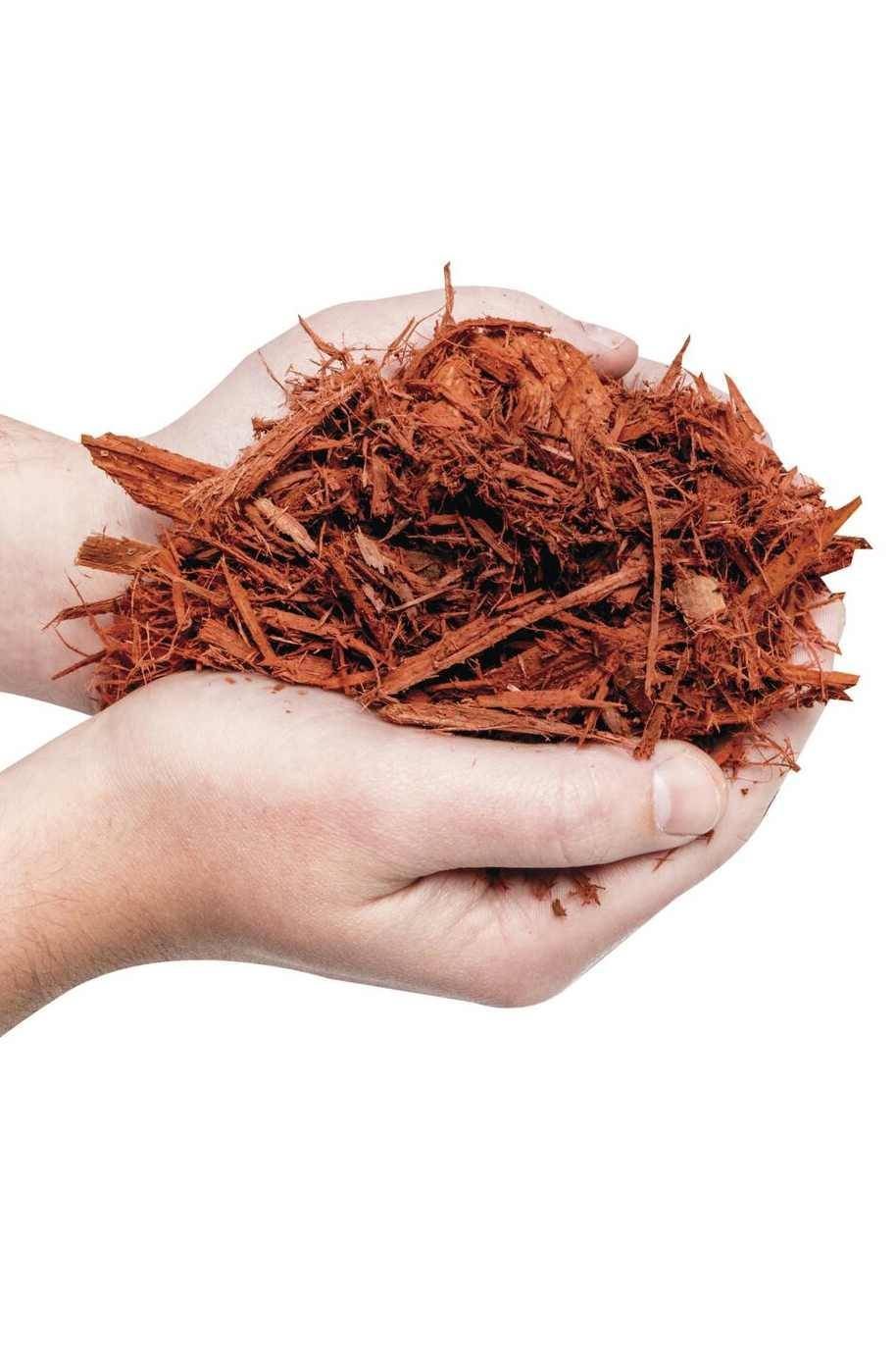 Red-Mulch.jpg