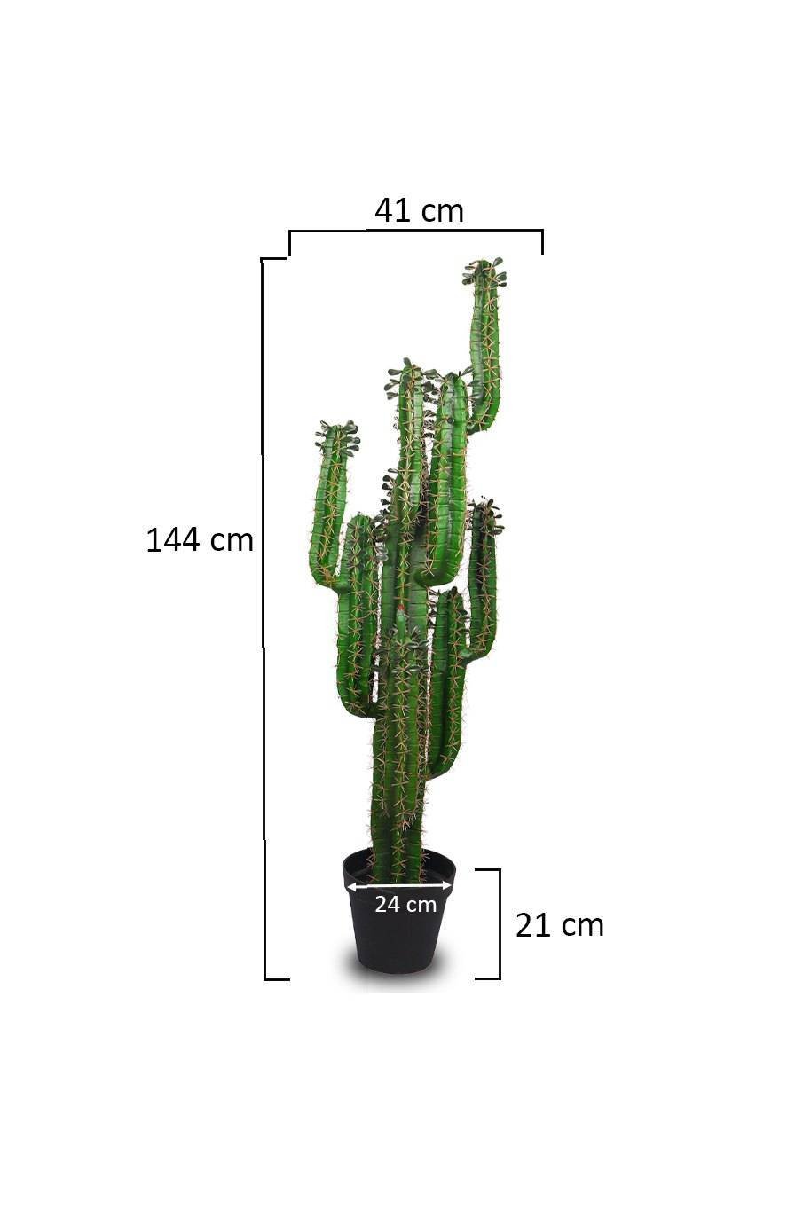 San-Pedro-Cactus-Artificial-2.jpg