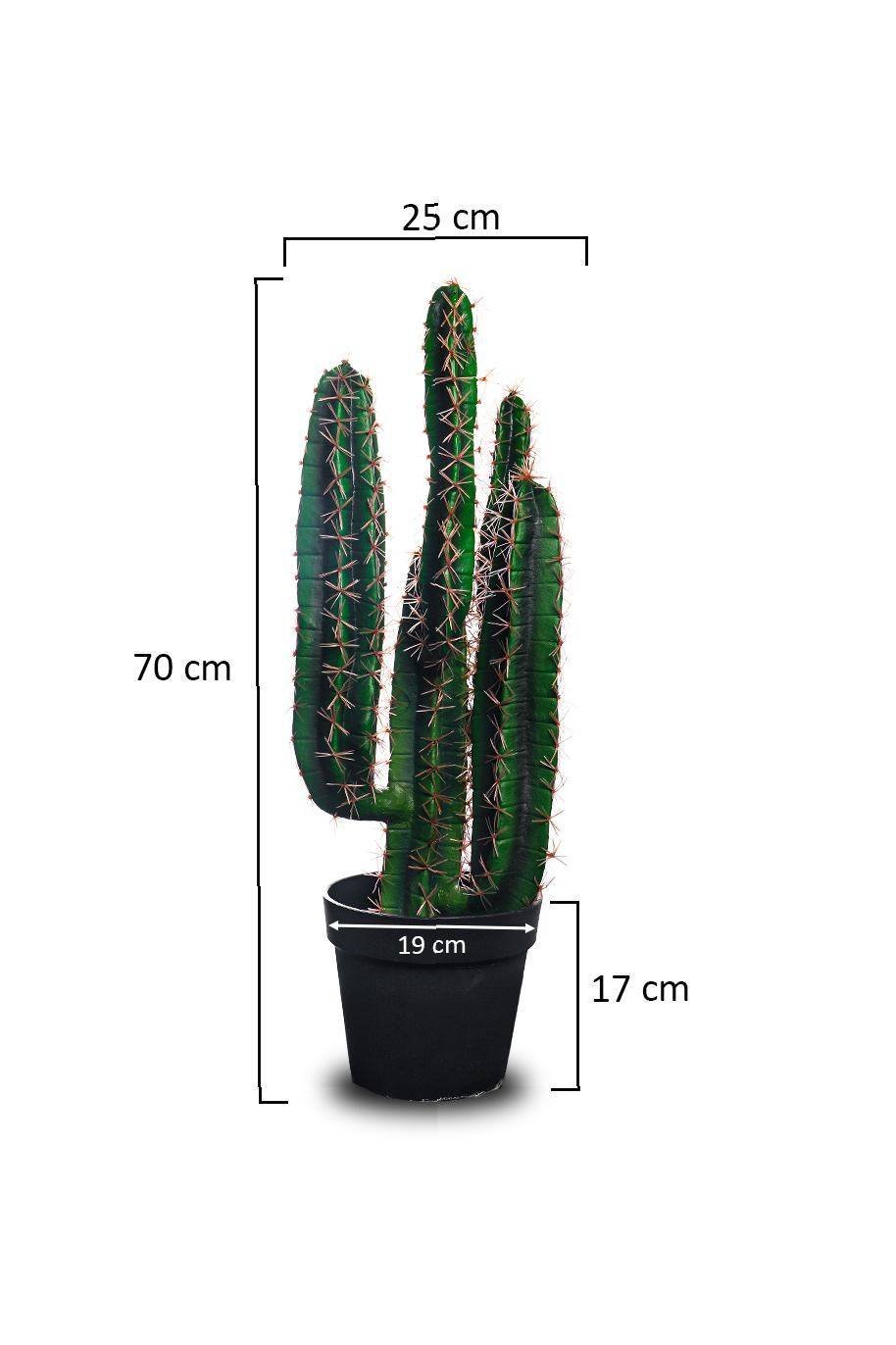 San-Pedro-Cactus-Artificial.jpg