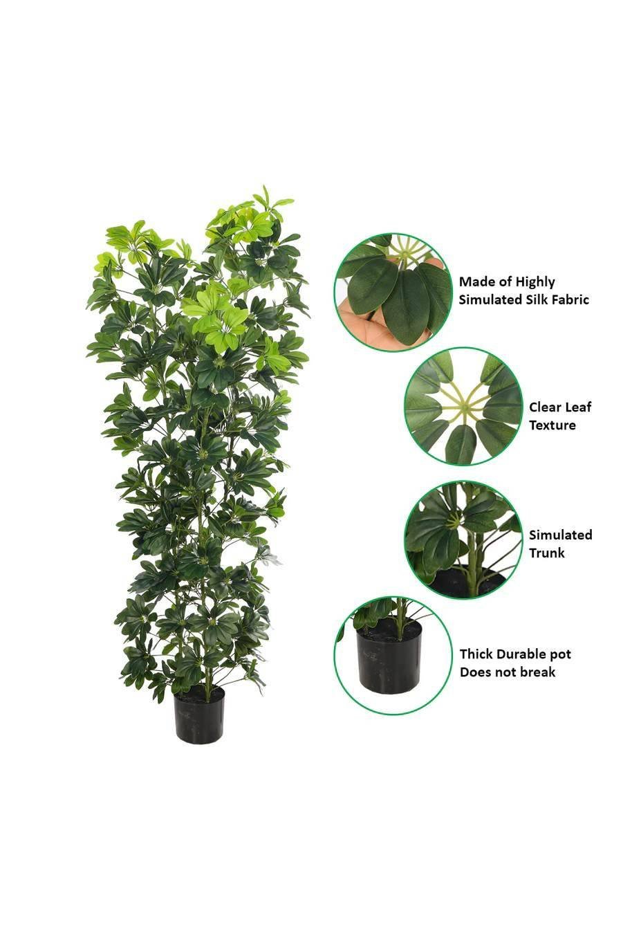 Schefflera_Green_Artificial_Plant-2-Plantshop_me.jpg