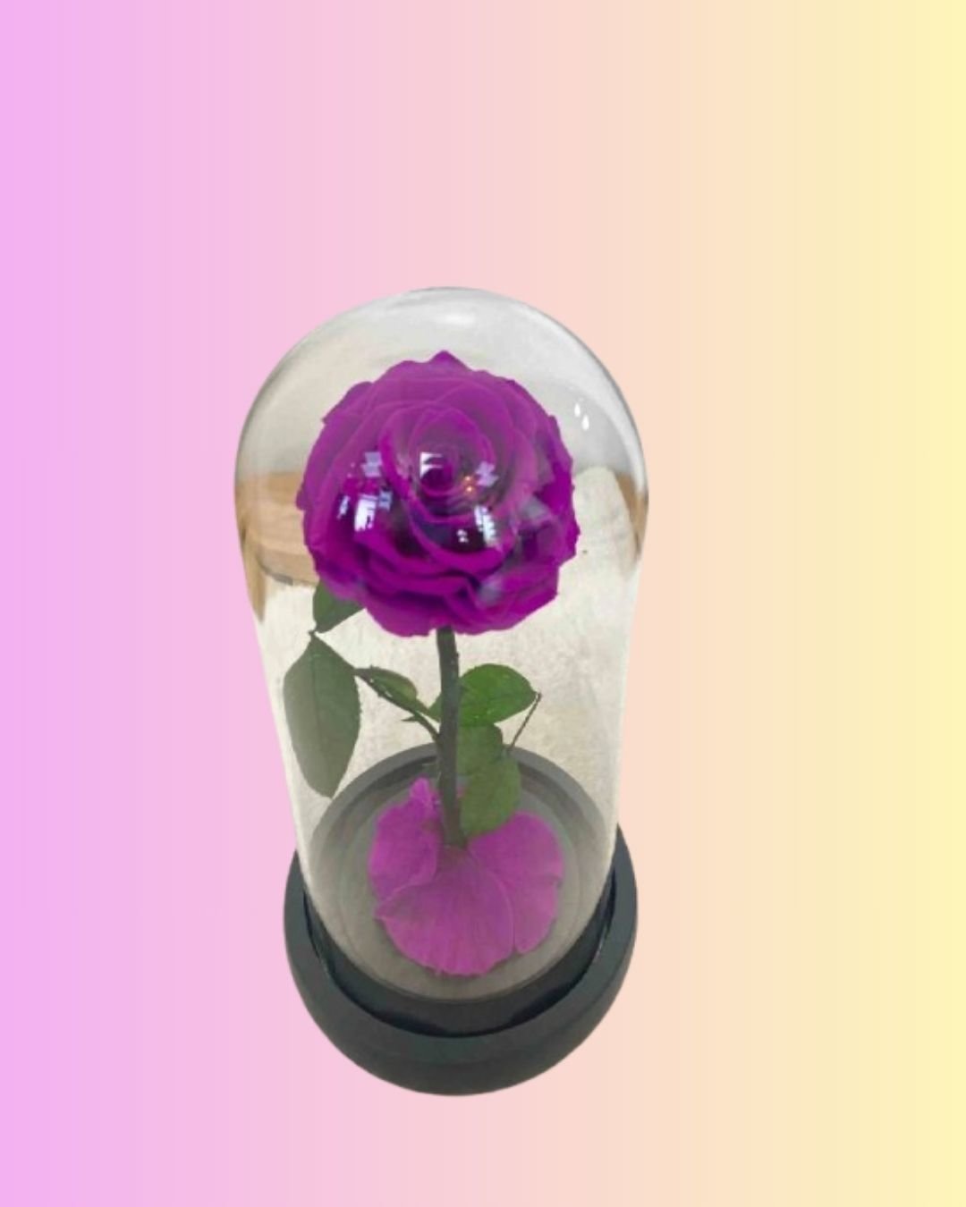 Single-Purple-Preserved-Forever-Rose.jpg