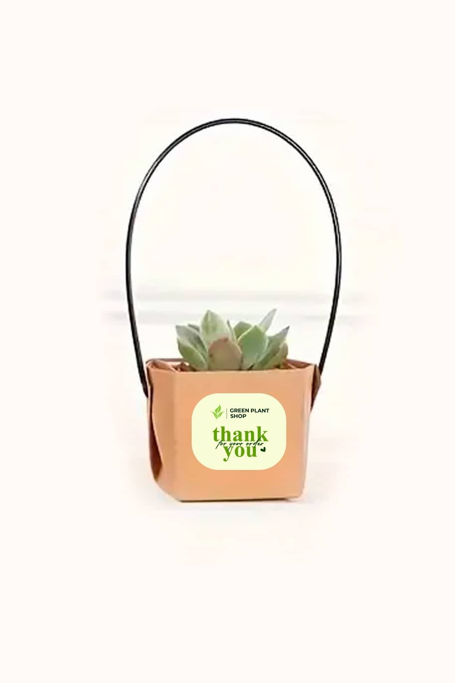 WhatsApp Image 2026-01-28 at 8.12.14 AM