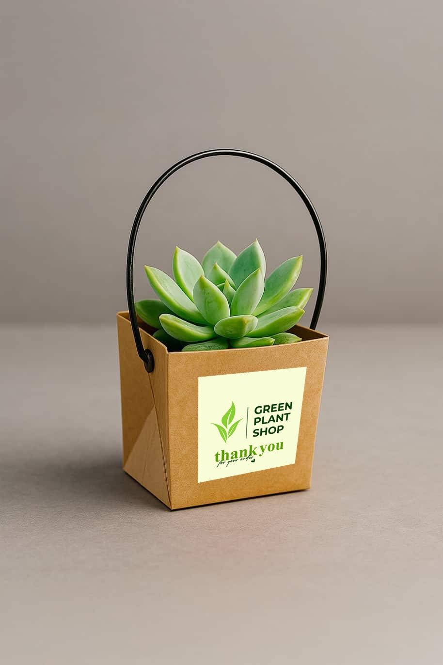 WhatsApp Image 2026-01-28 at 8.12.15 AM